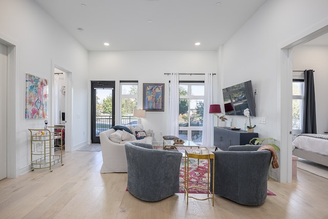 living room with light wood-type flooring