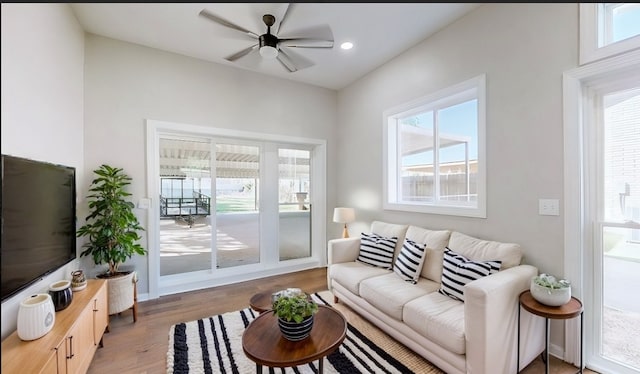 living room with ceiling fan and hardwood / wood-style floors