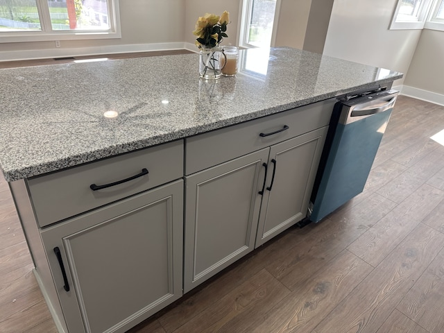 kitchen featuring stainless steel dishwasher, light hardwood / wood-style floors, and a wealth of natural light