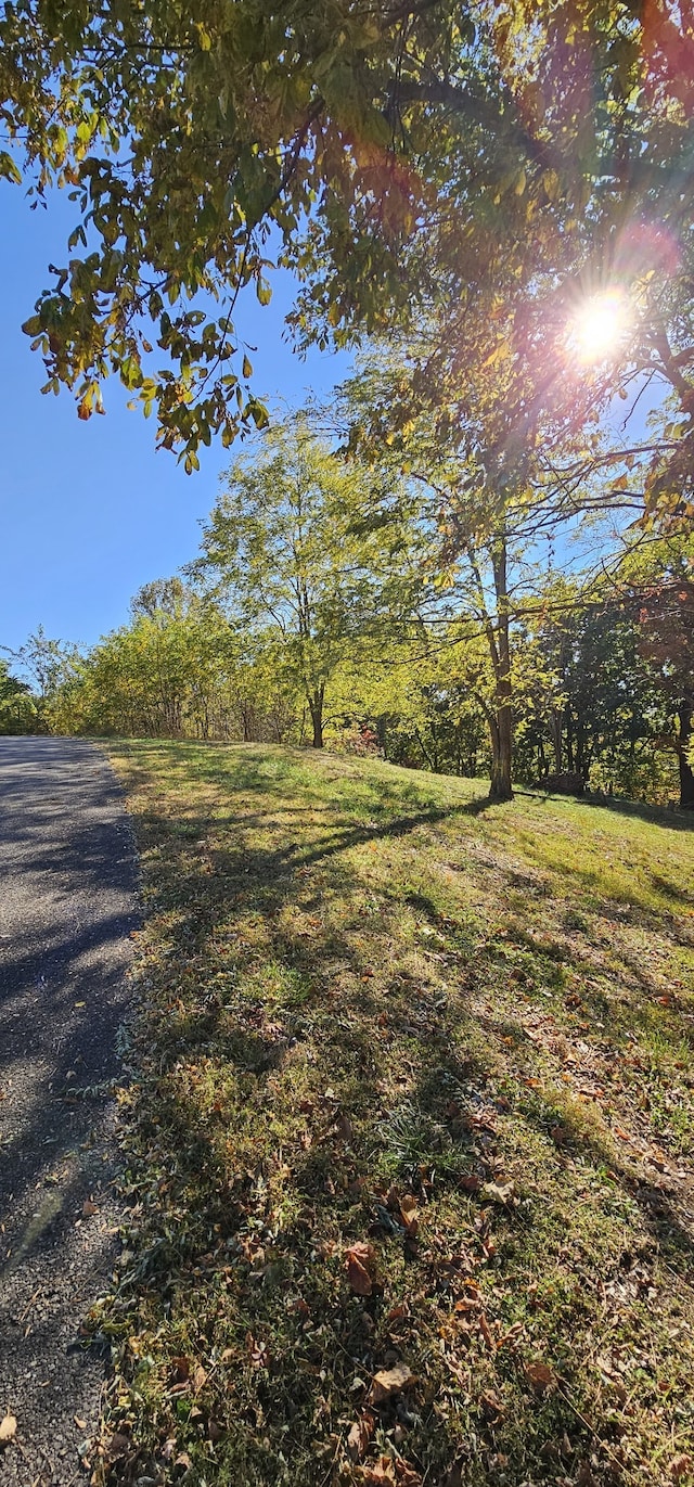 Listing photo 2 for 0 Davidson Rd, Smithville TN 37166