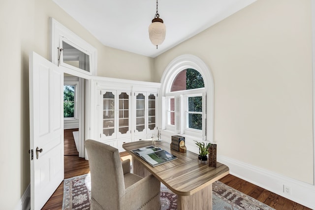 home office featuring plenty of natural light and dark wood-type flooring