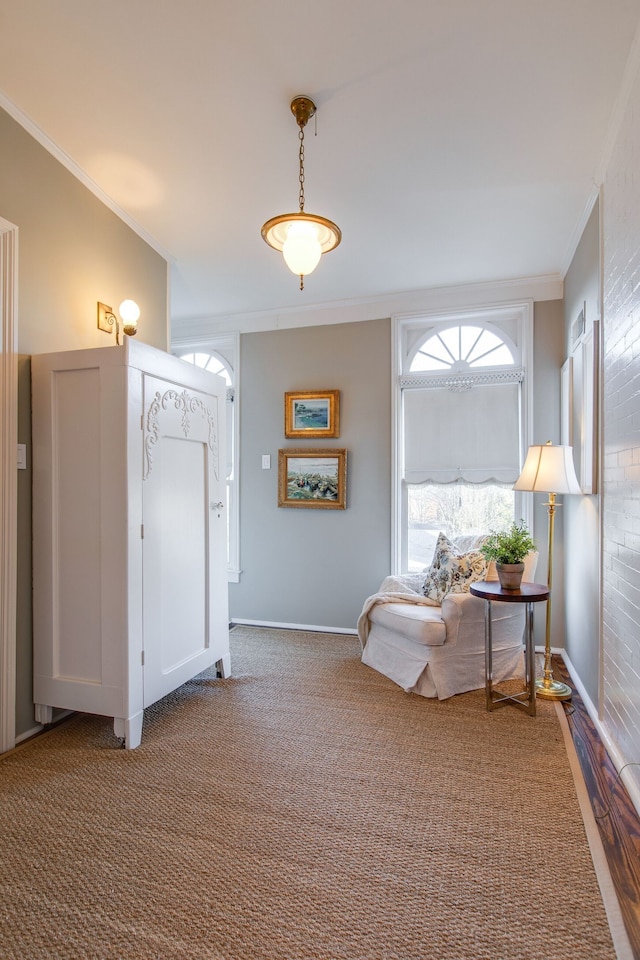 living area with carpet floors and ornamental molding