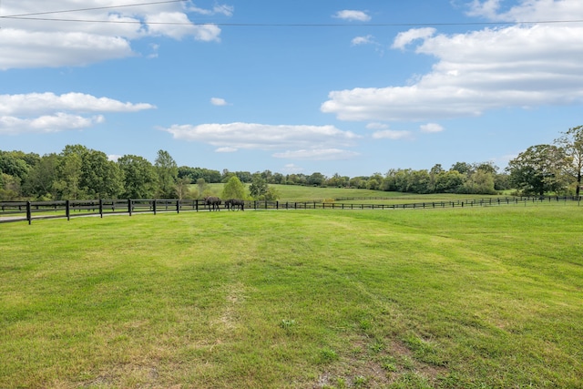 view of yard featuring a rural view