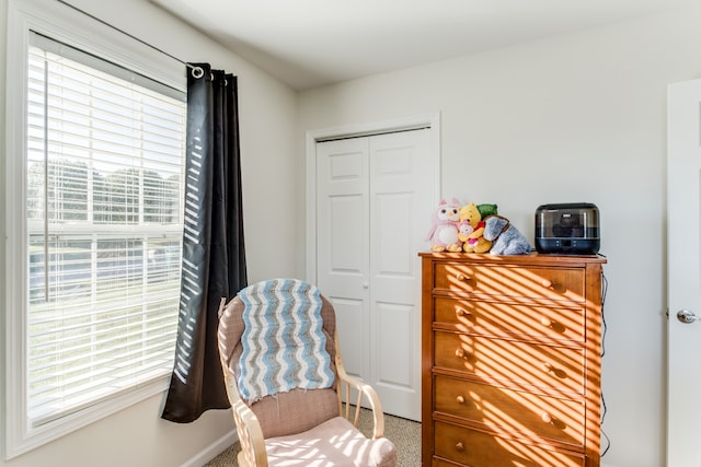 sitting room featuring carpet flooring