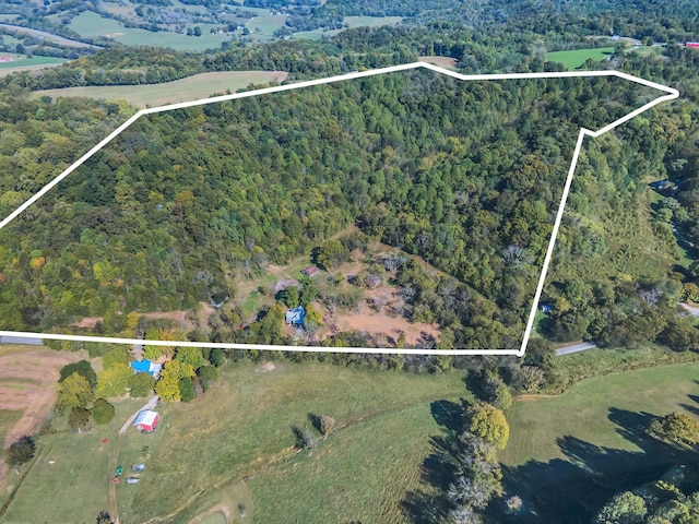 birds eye view of property featuring a rural view