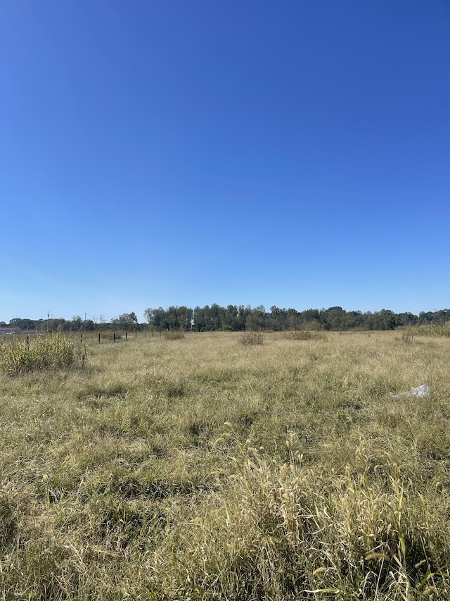 view of local wilderness with a rural view