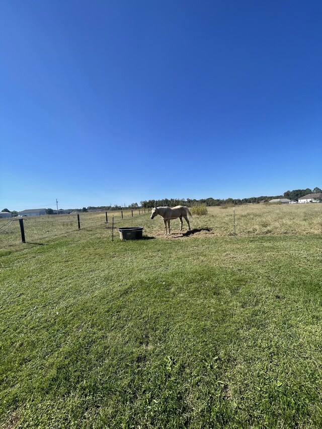 view of yard with a rural view
