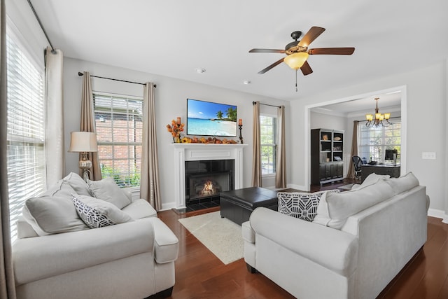 living room with ceiling fan with notable chandelier, a healthy amount of sunlight, crown molding, and dark wood-type flooring