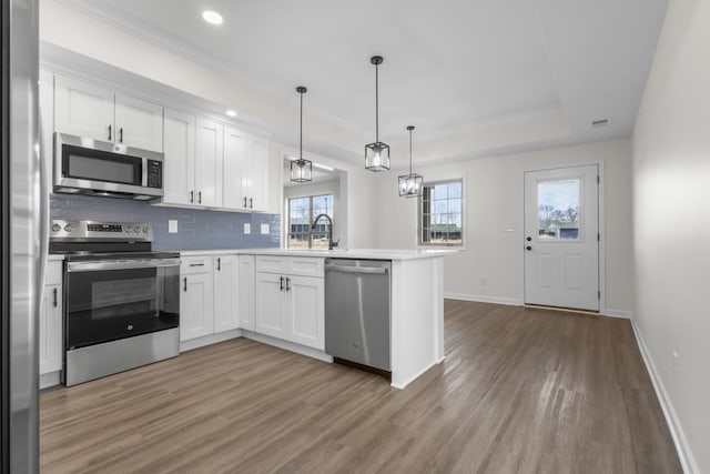 kitchen featuring a tray ceiling, backsplash, stainless steel appliances, a peninsula, and white cabinets