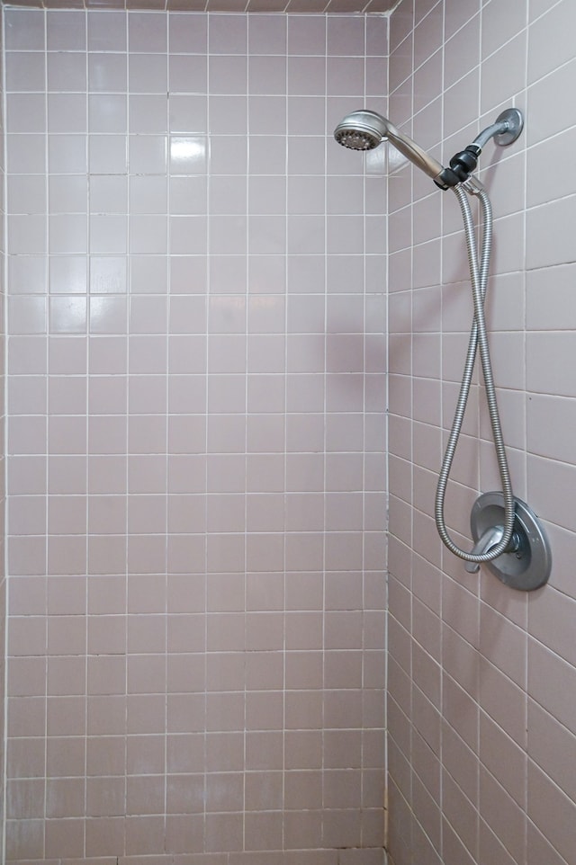 room details with tiled shower