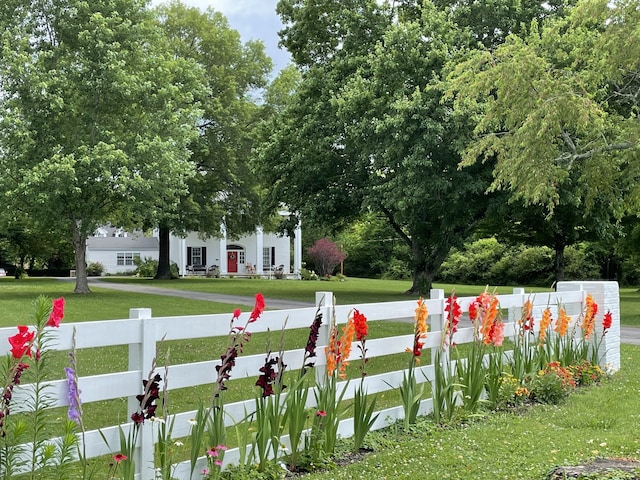 view of yard