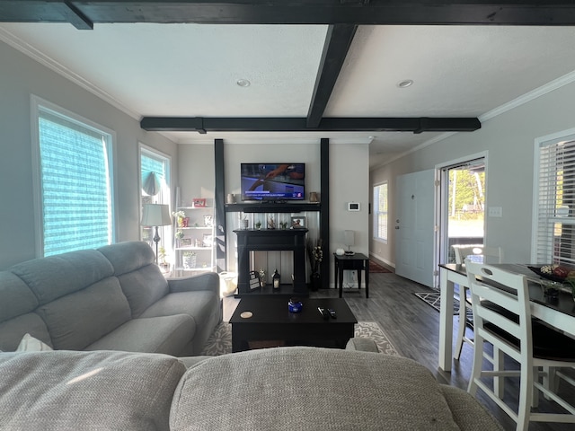 living room featuring ornamental molding, hardwood / wood-style flooring, and beam ceiling