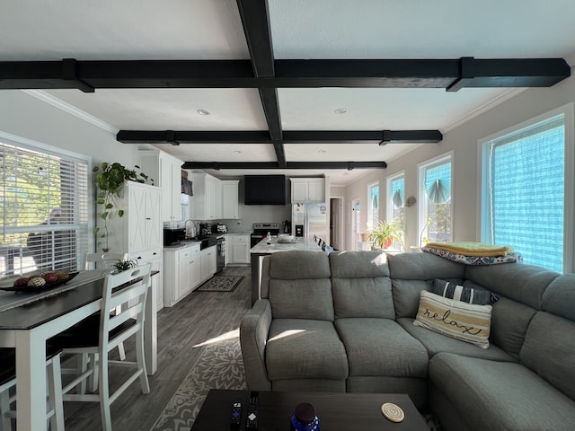 living room with beamed ceiling, plenty of natural light, dark wood-type flooring, and sink