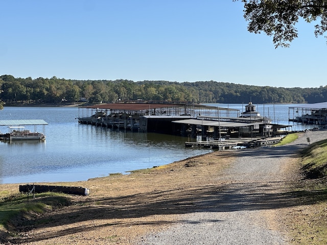 view of dock with a water view