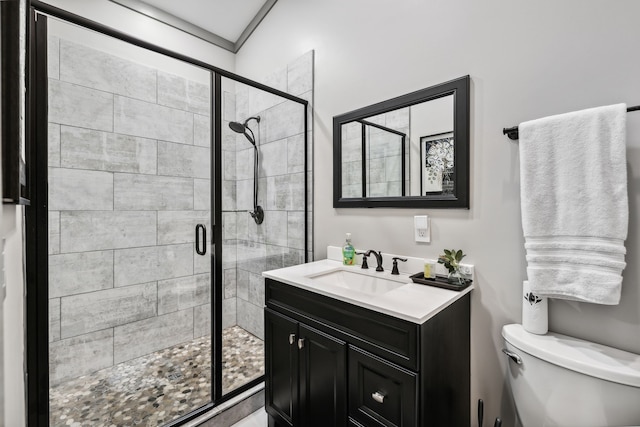 bathroom featuring vanity, walk in shower, and toilet