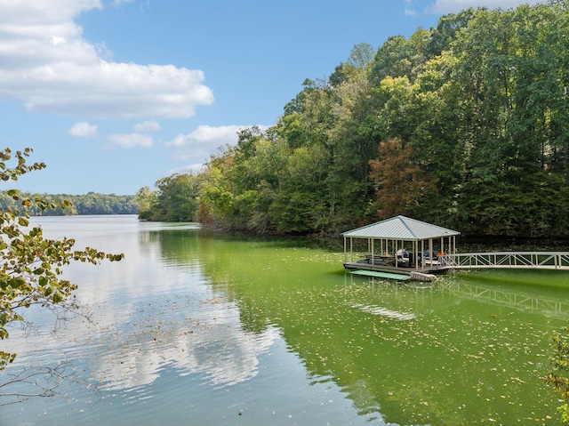 1657 Boswell Rd, Winchester, TN 37398 - water view with a heavily wooded area and a dock