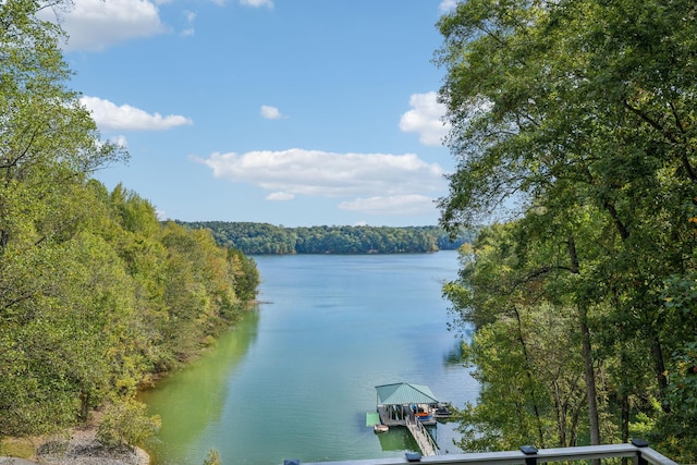 1657 Boswell Rd, Winchester, TN 37398 - water view with a boat dock and a forest