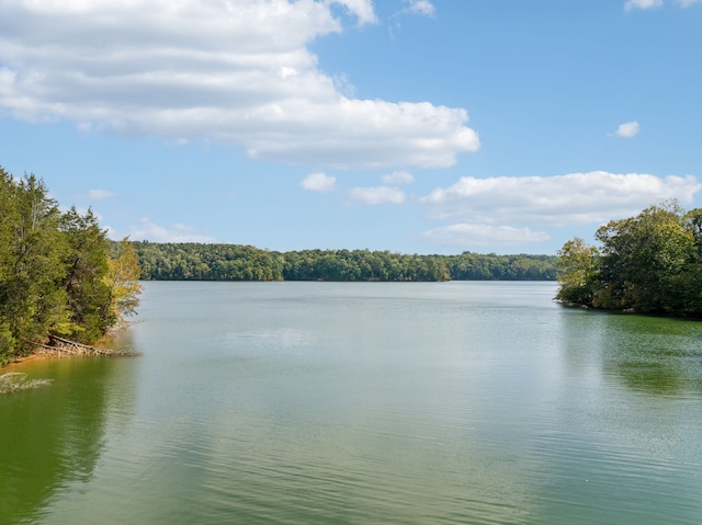 property view of water