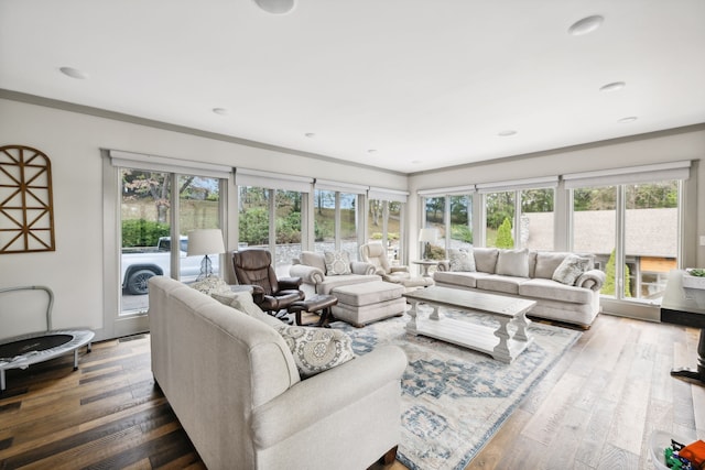 living room featuring crown molding and dark hardwood / wood-style flooring