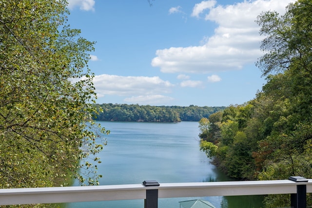 view of water feature