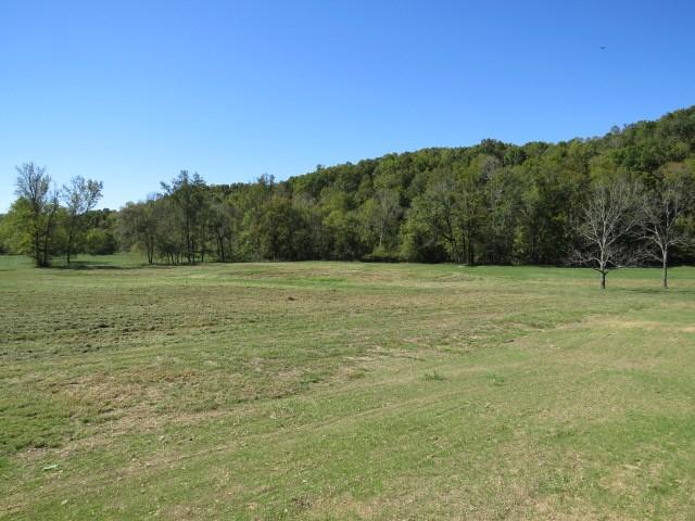 10890 Minor Hill Hwy, Goodspring, TN 38460 - view of green lawn with a forest view and a view of countryside