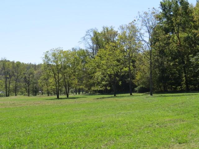 10890 Minor Hill Hwy, Goodspring, TN 38460 - view of green lawn featuring a forest view