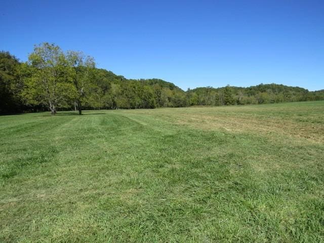 10890 Minor Hill Hwy, Goodspring, TN 38460 - view of green lawn with a forest view and a view of countryside