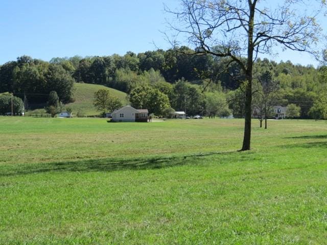 10890 Minor Hill Hwy, Goodspring, TN 38460 - view of green lawn