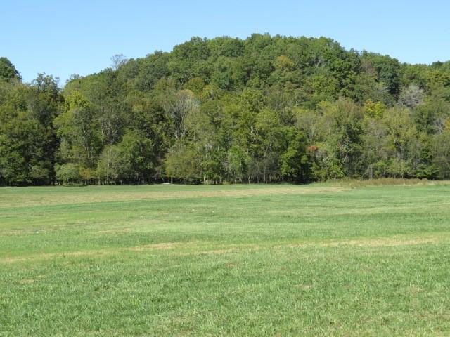 10890 Minor Hill Hwy, Goodspring, TN 38460 - view of green lawn featuring a wooded view