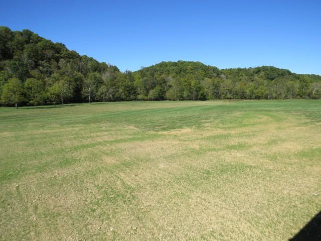 10890 Minor Hill Hwy, Goodspring, TN 38460 - view of grassy yard with a forest view and a view of countryside
