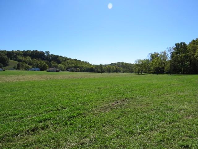 10890 Minor Hill Hwy, Goodspring, TN 38460 - view of grassy yard with a view of rural / pastoral area