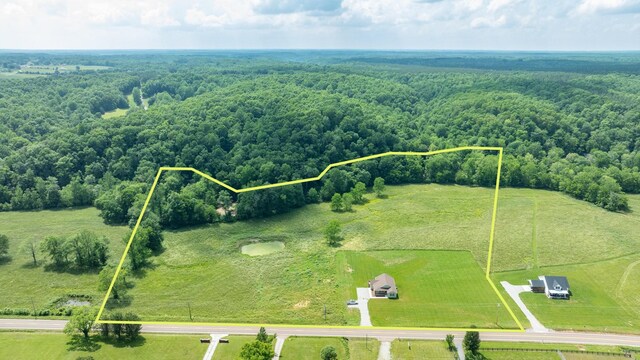 10890 Minor Hill Hwy, Goodspring, TN 38460 - overview of rural landscape with property parcel outlined and a forest