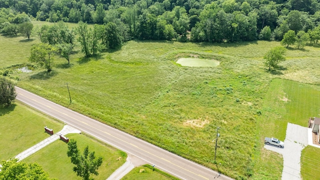 10890 Minor Hill Hwy, Goodspring, TN 38460 - bird's eye view