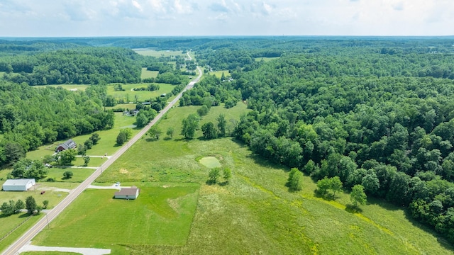 10890 Minor Hill Hwy, Goodspring, TN 38460 - overview of rural landscape