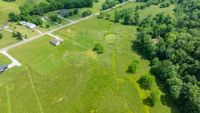 10890 Minor Hill Hwy, Goodspring, TN 38460 - aerial view of sparsely populated area