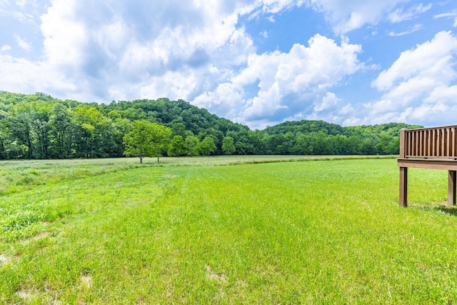10890 Minor Hill Hwy, Goodspring, TN 38460 - view of yard with a wooded view and a rural view