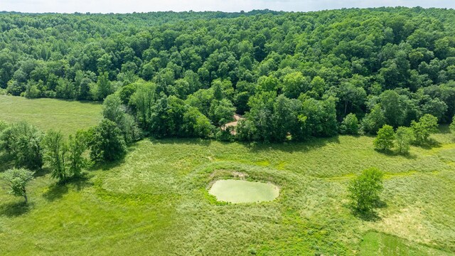 10890 Minor Hill Hwy, Goodspring, TN 38460 - drone / aerial view
