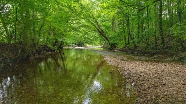 10890 Minor Hill Hwy, Goodspring, TN 38460 - water view featuring a heavily wooded area