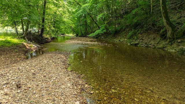 10890 Minor Hill Hwy, Goodspring, TN 38460 - water view