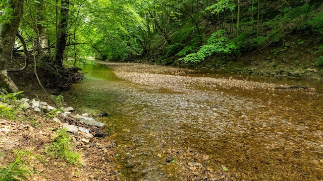 10890 Minor Hill Hwy, Goodspring, TN 38460 - view of tree filled area