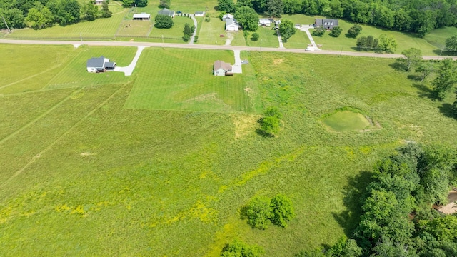 10890 Minor Hill Hwy, Goodspring, TN 38460 - view of rural area