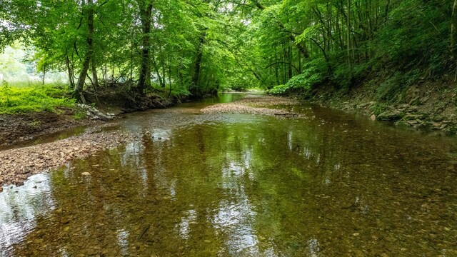 10890 Minor Hill Hwy, Goodspring, TN 38460 - water view