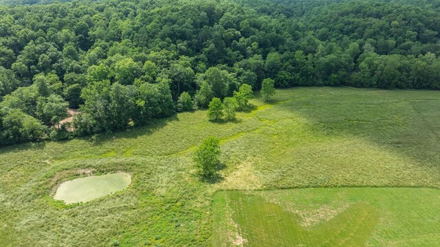 10890 Minor Hill Hwy, Goodspring, TN 38460 - drone / aerial view