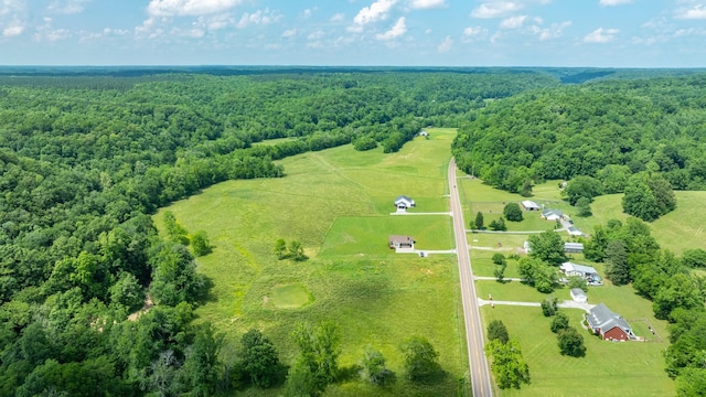 10890 Minor Hill Hwy, Goodspring, TN 38460 - aerial view of sparsely populated area featuring a heavily wooded area