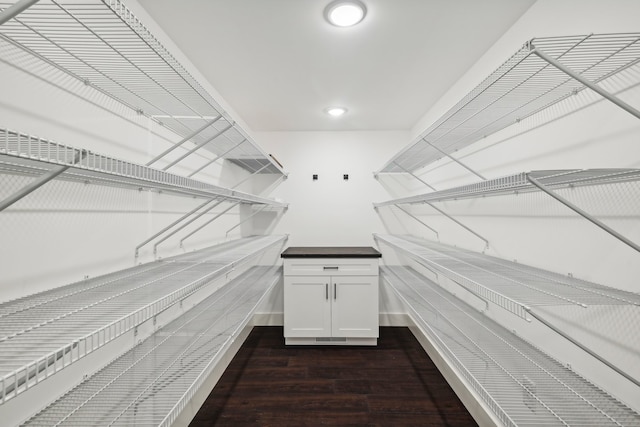 spacious closet featuring dark wood-type flooring