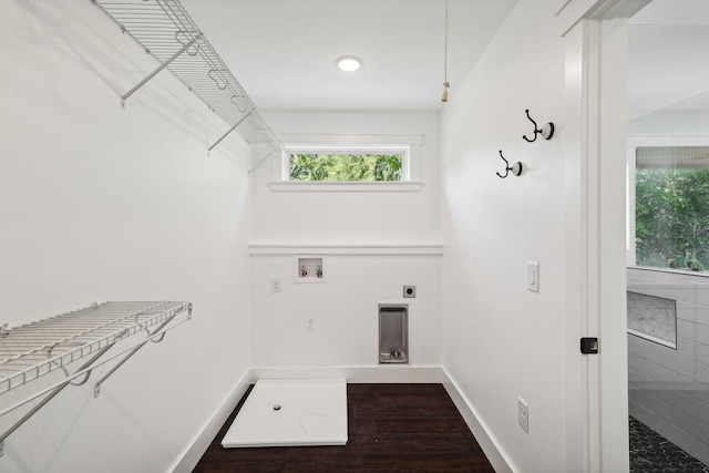 laundry room with washer hookup, dark wood-type flooring, and electric dryer hookup