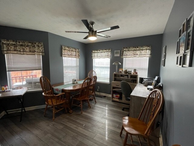 dining space featuring hardwood / wood-style floors, ceiling fan, and a wealth of natural light