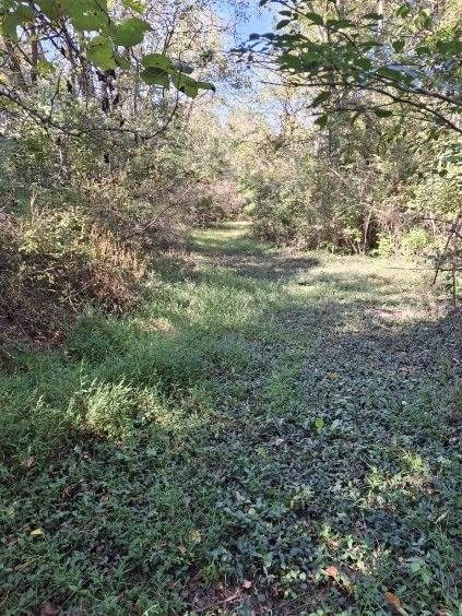 Listing photo 2 for 0 Dry Creek Rd, Goodlettsville TN 37072