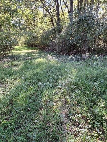 Listing photo 3 for 0 Dry Creek Rd, Goodlettsville TN 37072