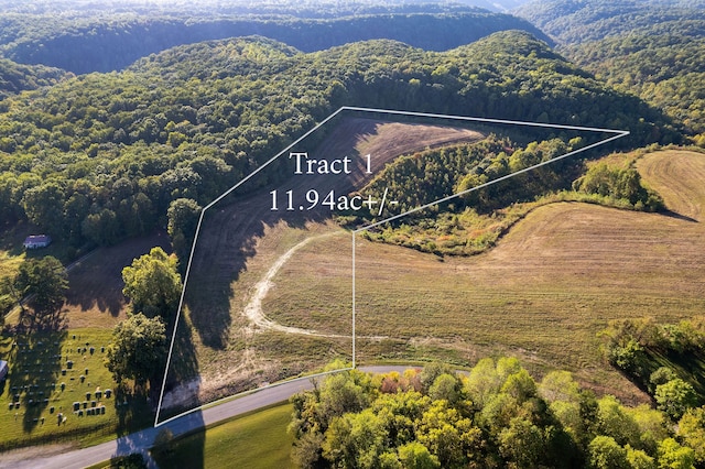 3145 Pea Ridge Rd, Liberty TN, 37095 land for sale